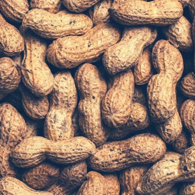 Sustainable Peanuts